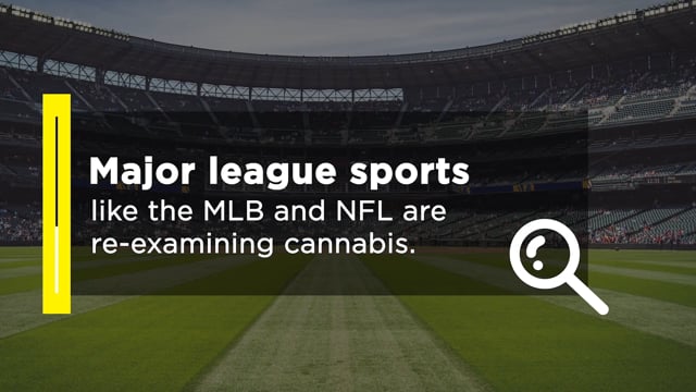 Major League Sports And Cannabis