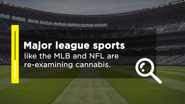 Major League Sports And Cannabis