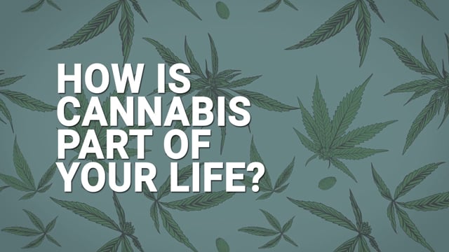 The Cannabis Lifestyle