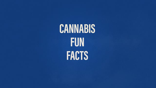 Cannabis Fun Facts