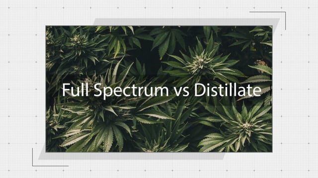 Full Spectrum Vs Distillate
