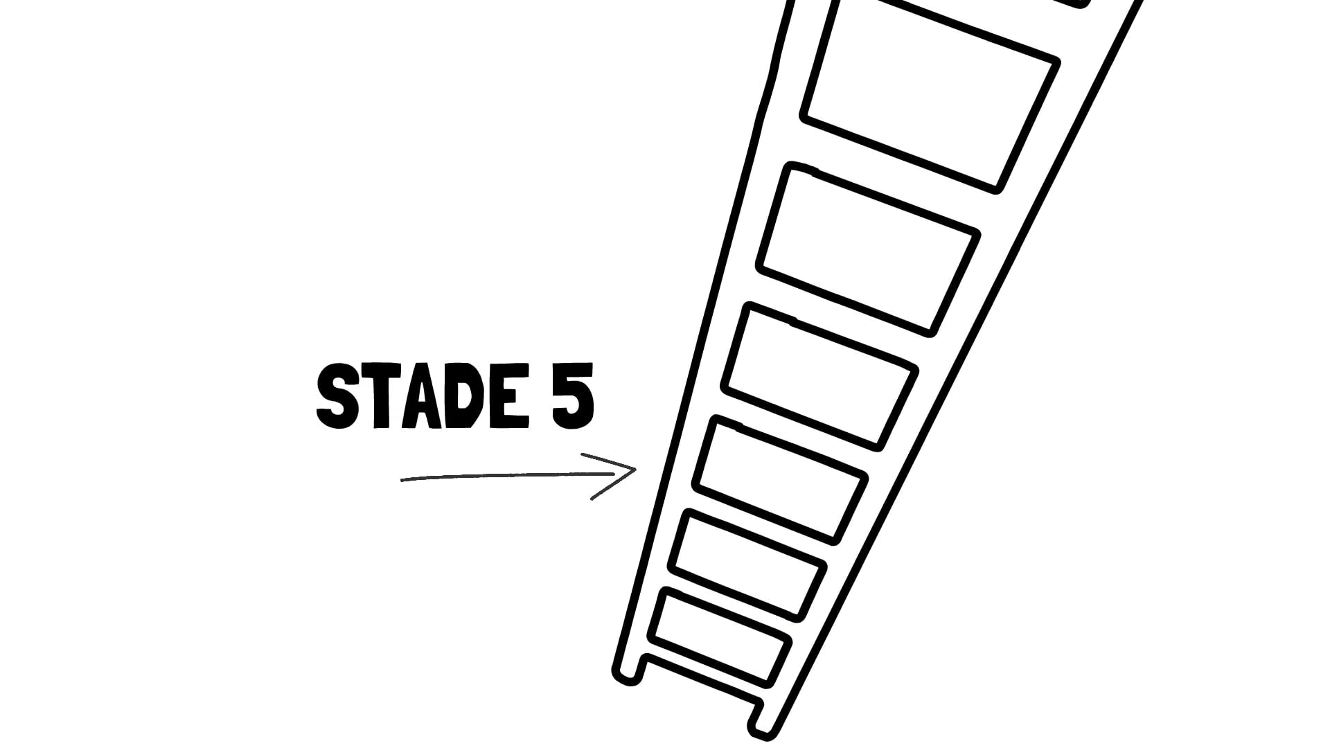 La Maladie Rénale Chronique