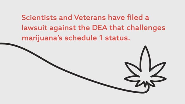 DEA Lawsuit - Canna Provisions