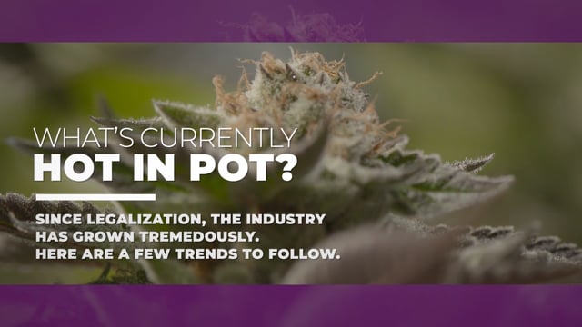Cannabis Market Data - What's currently hot in pot?