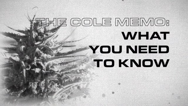 The Cole Memo - What You Need To Know