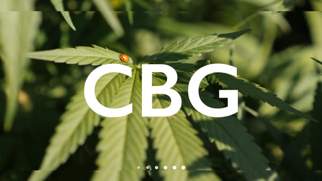 CBG - Cannabigerol