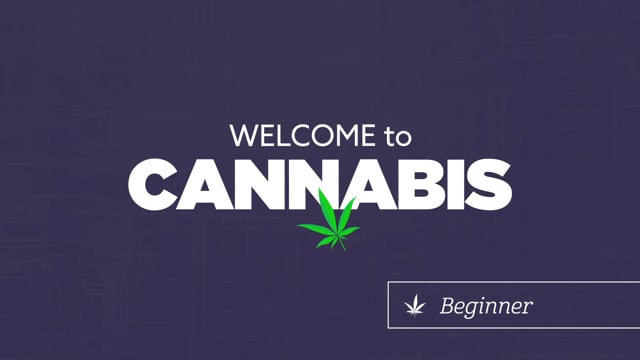 Cannabis 101