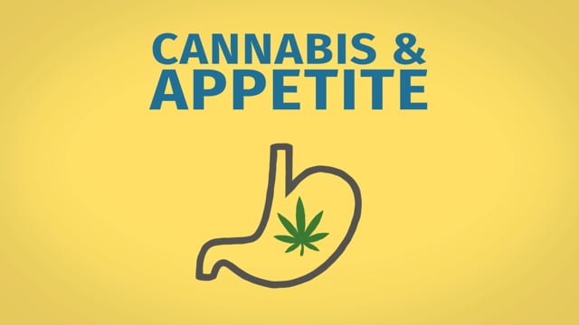 How Cannabis Affects Appetite