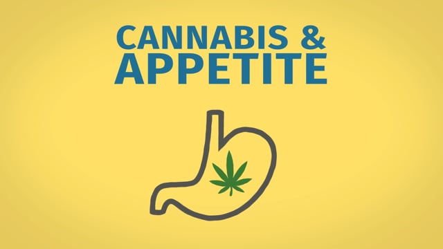 How Cannabis Affects Appetite