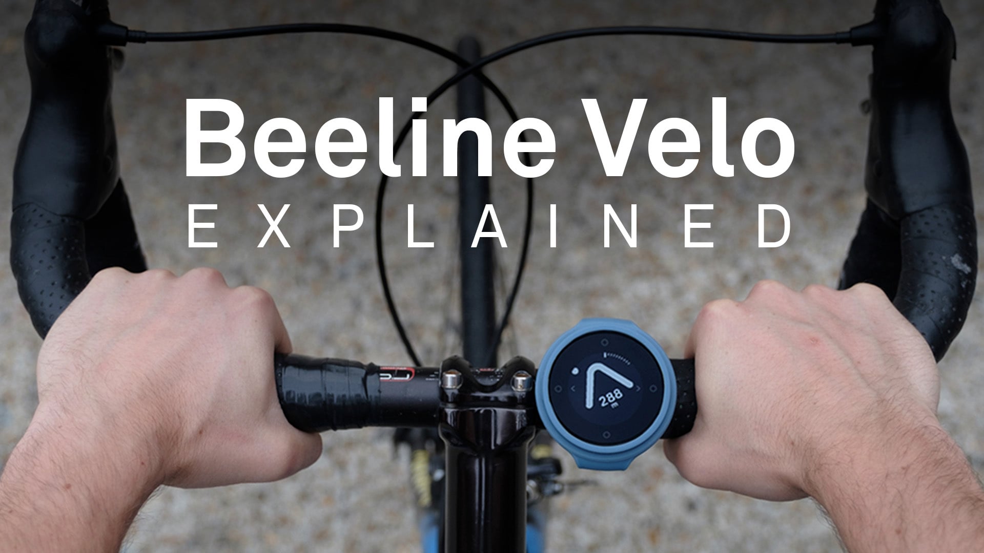 beeline velo