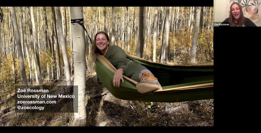 vimeo-video-thumbnail