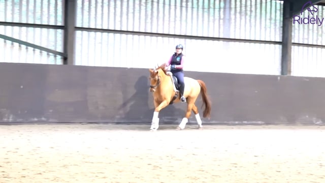 Lateral Suppleness