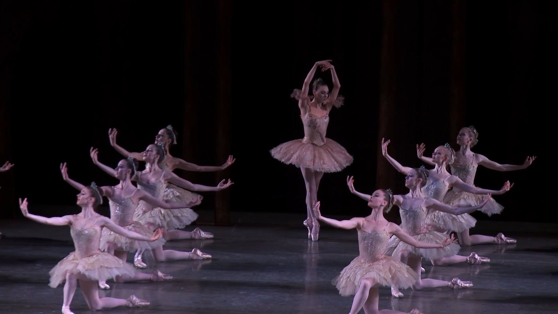 House on the hill レギンス ballet The Sleeping Beauty | New York City Ballet