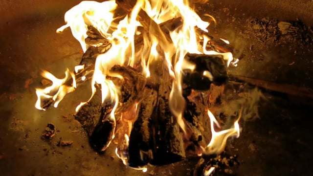 Campfire Fire Wood Free Stock Video   Pixabay