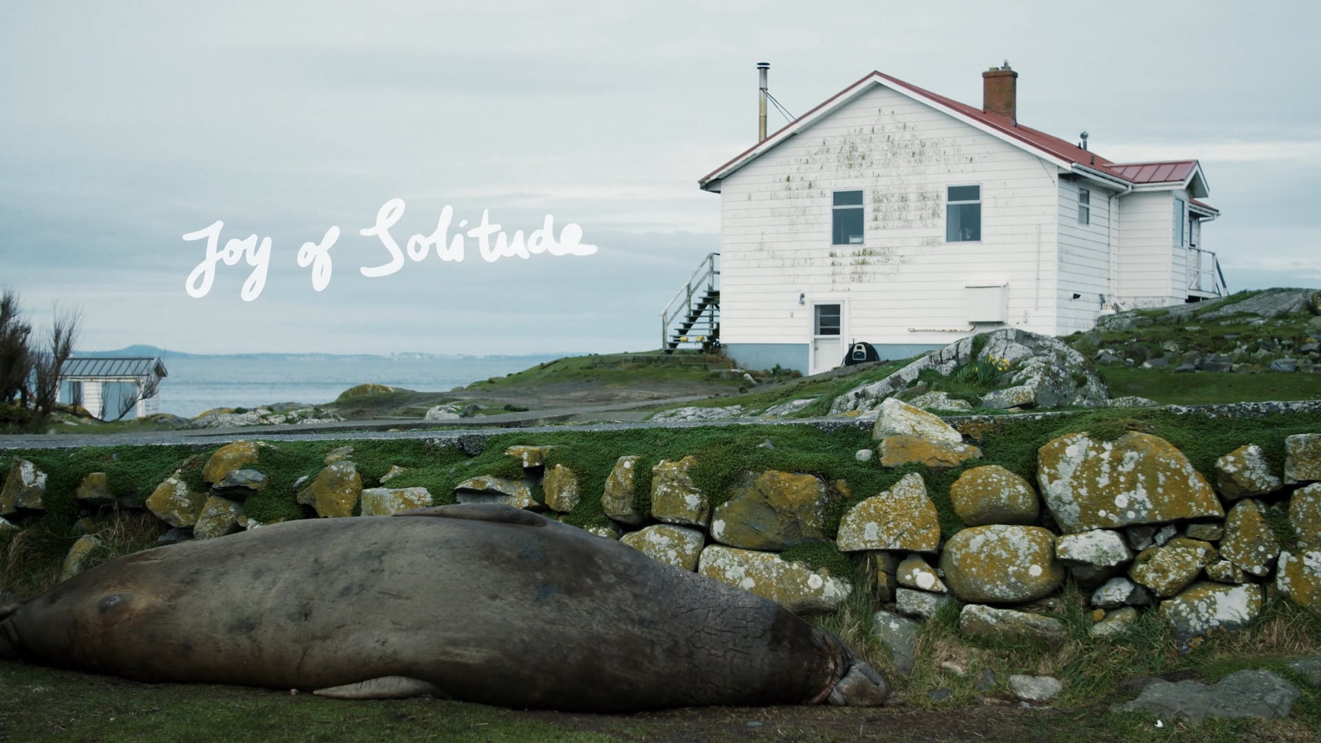 Joy of Solitude | Edit, Score, Sound Design, Mix