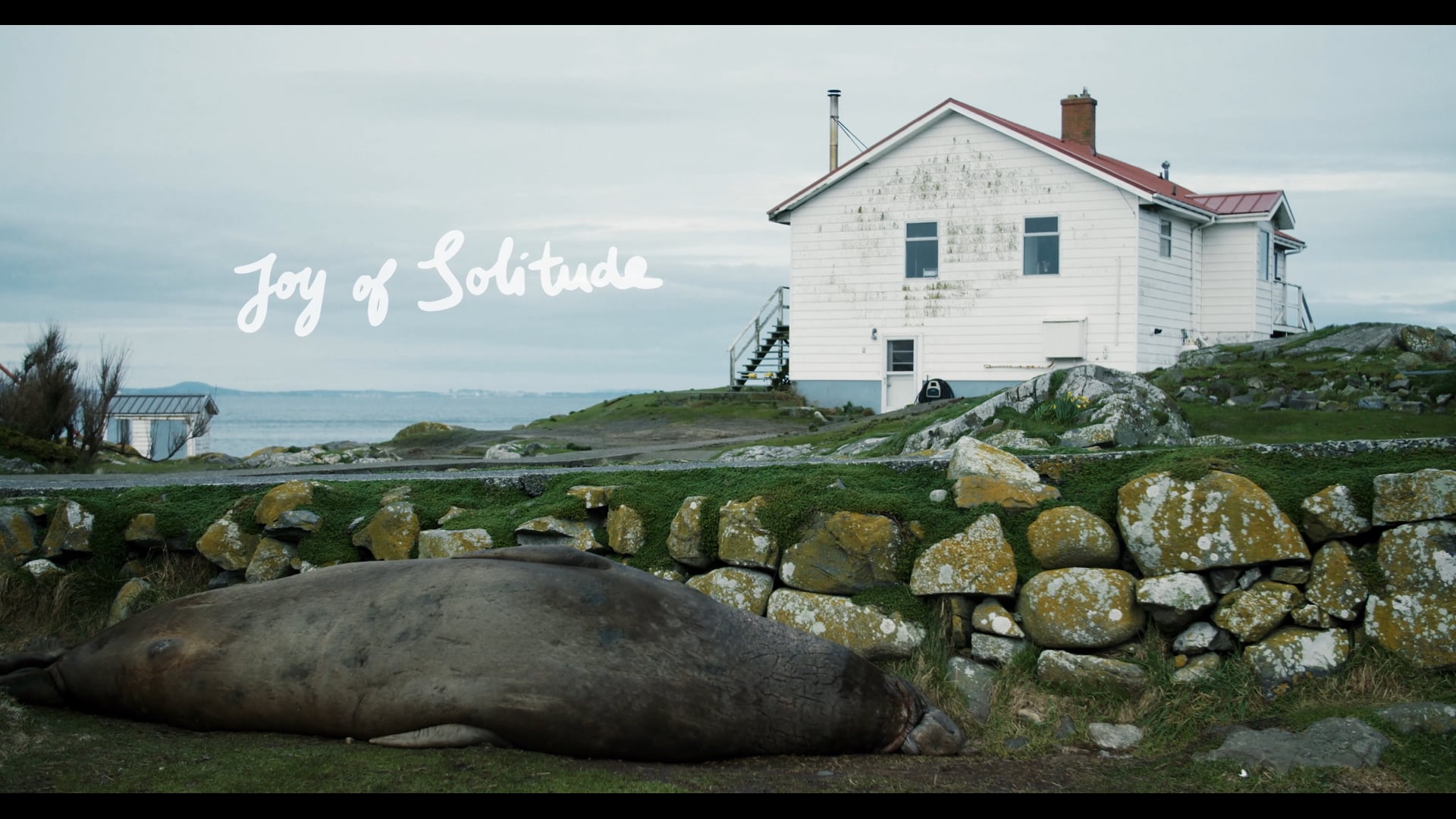 Joy of Solitude | Edit, Score, Sound Design, Mix