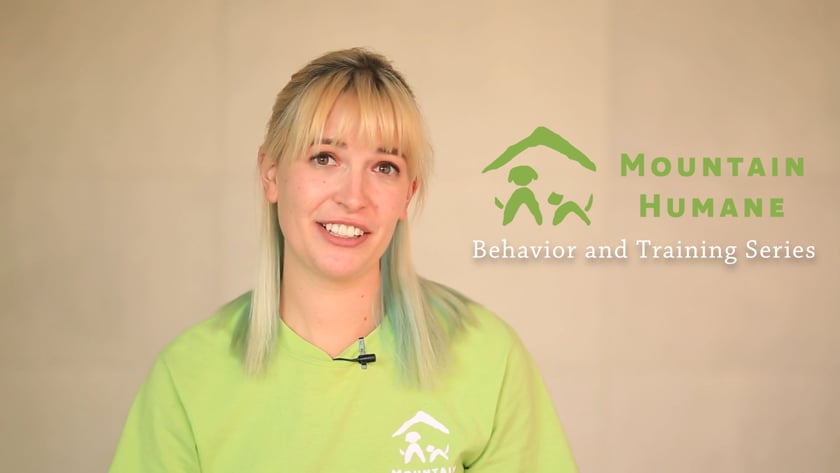 vimeo-video-thumbnail