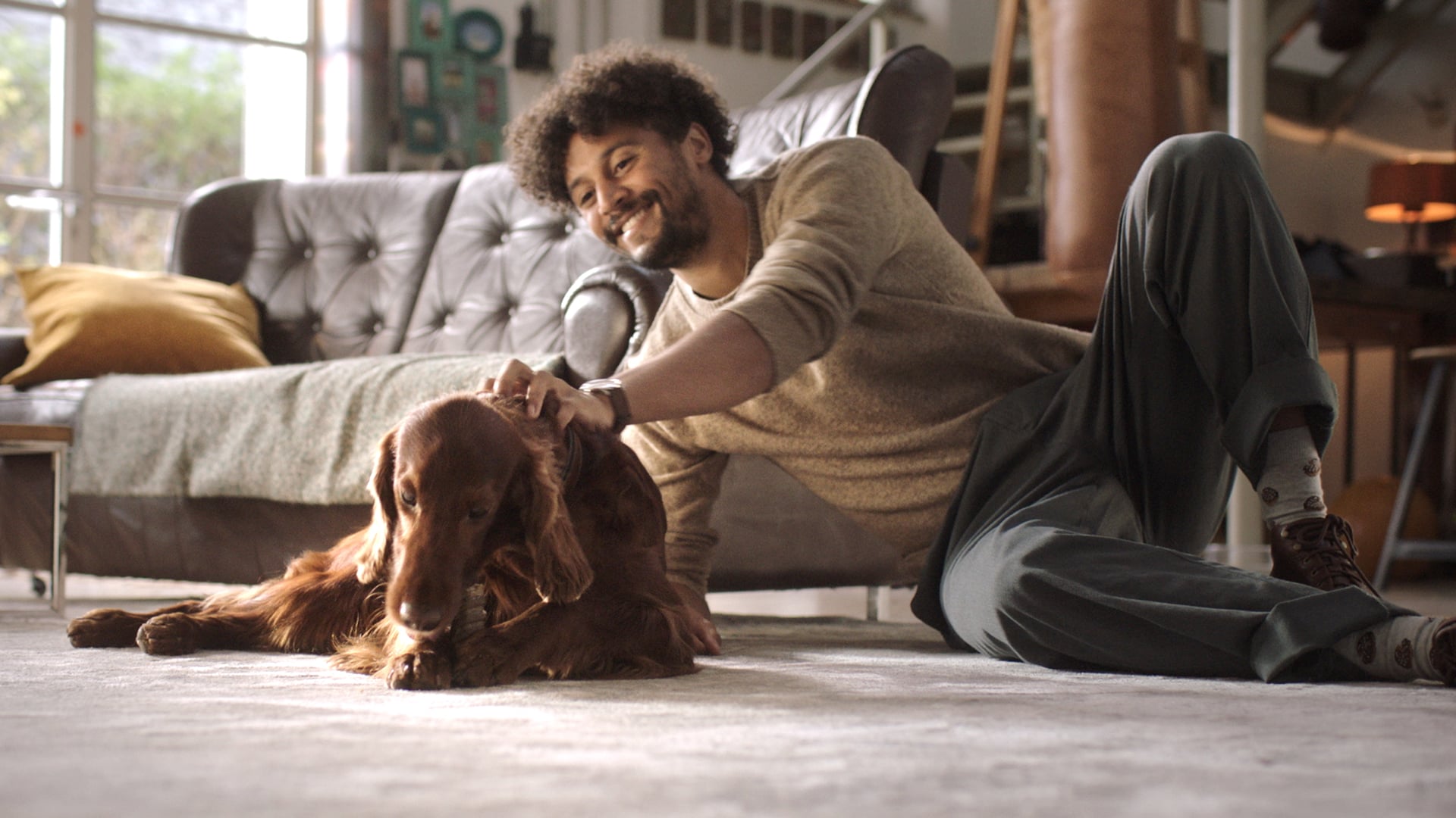 purina "adventuros"