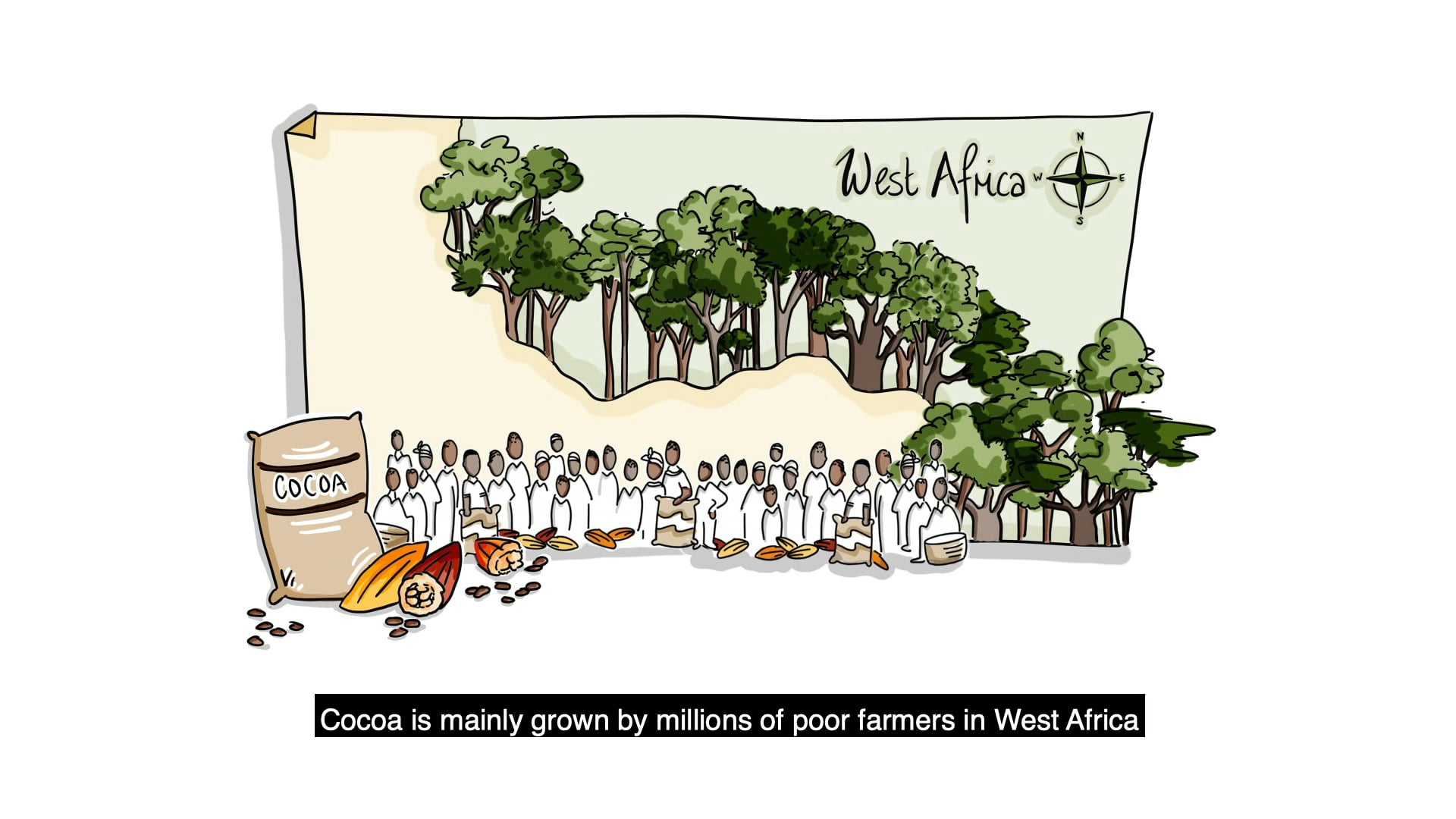 The Challenge of Forests and Chocolate
