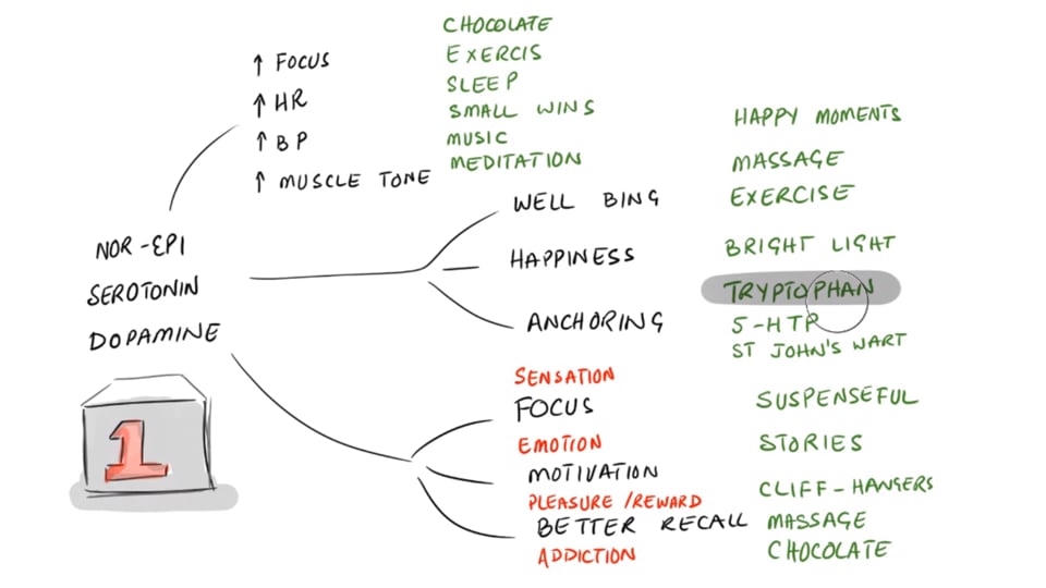 Oxytocin and Other Love Hormones