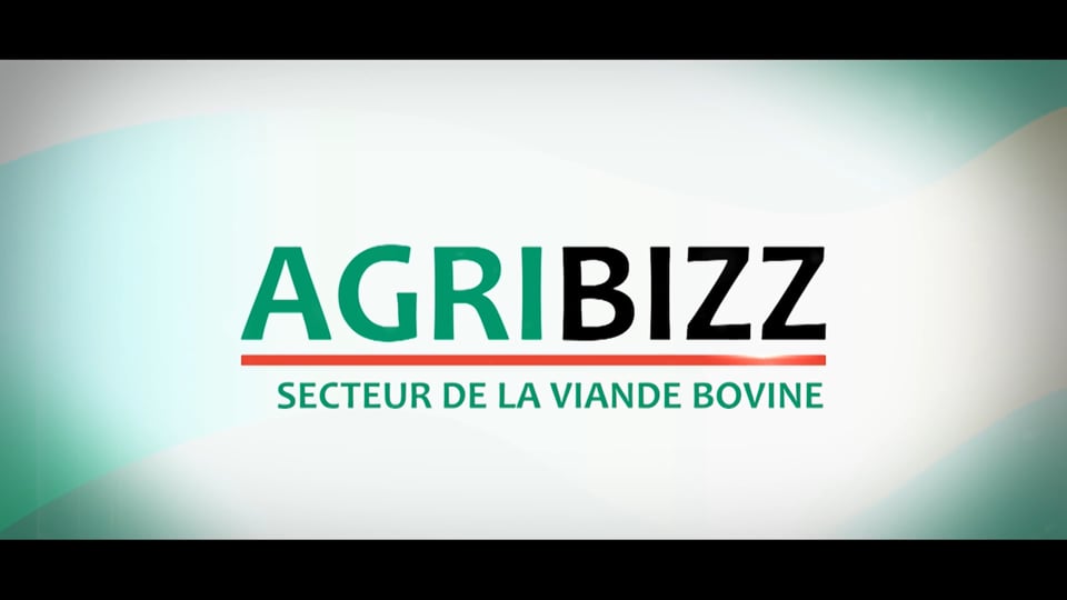 Agribizz: le secteur de la viande bovine
