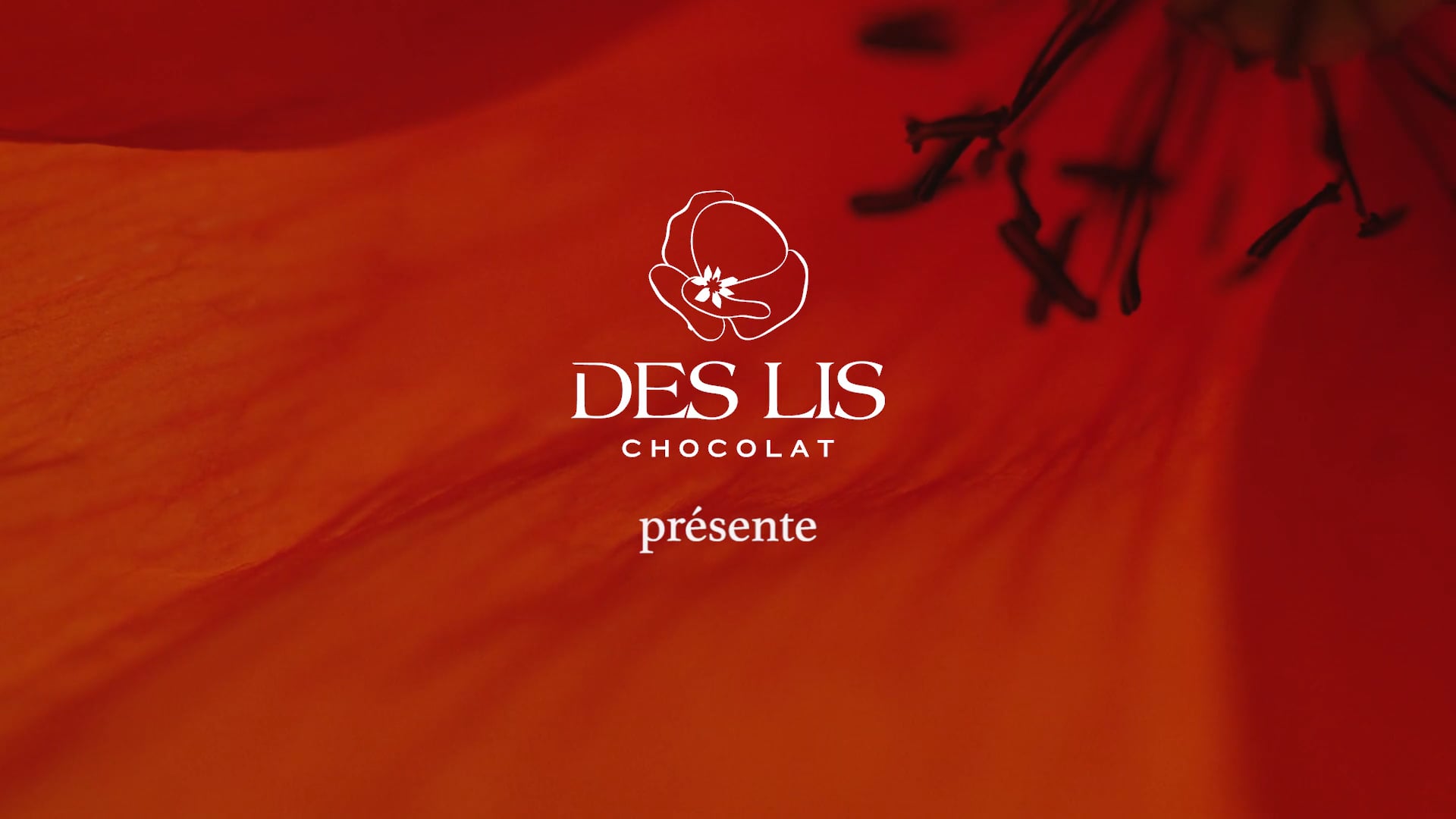 Des Lis Chocolat - Les Coquelicots de Nemours