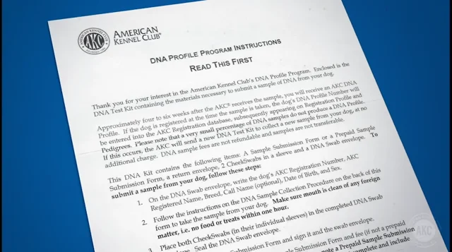 Akc dna sale test