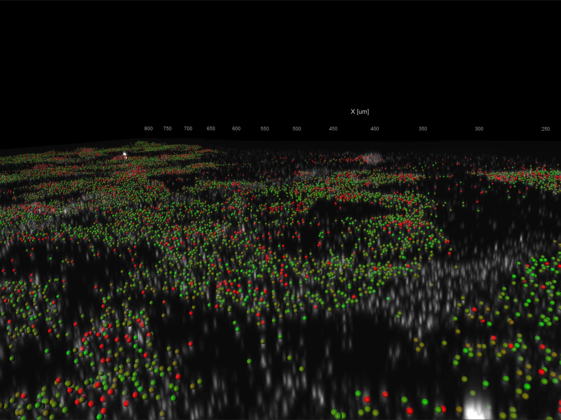 BOLORAMIS Point Cloud