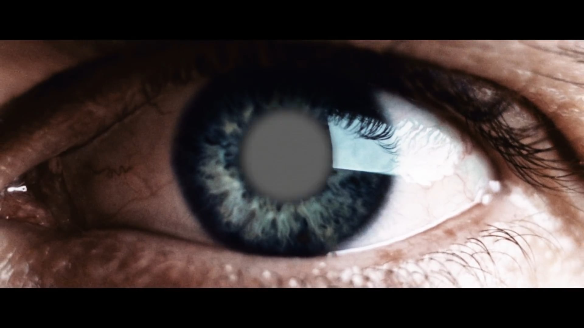 Reparations Book Trailer