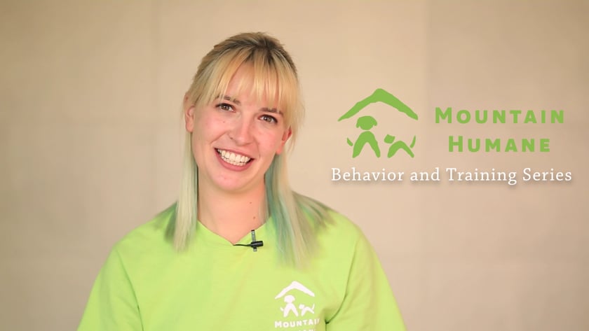 vimeo-video-thumbnail