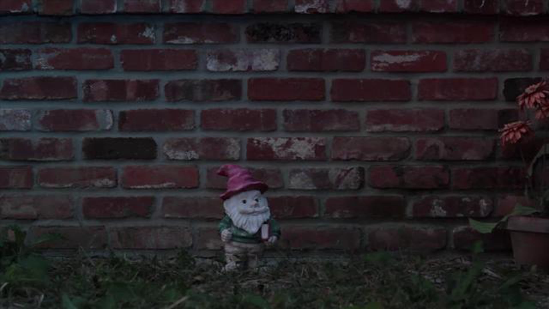 A Well Gnome Fugitive
