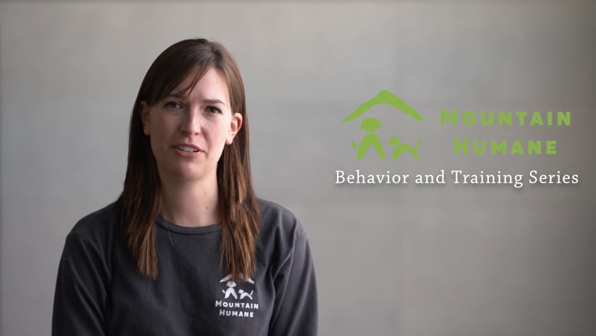 vimeo-video-thumbnail