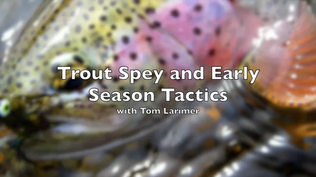 Latest Fly Fishing News and Reports - Trout Spey and Early Season