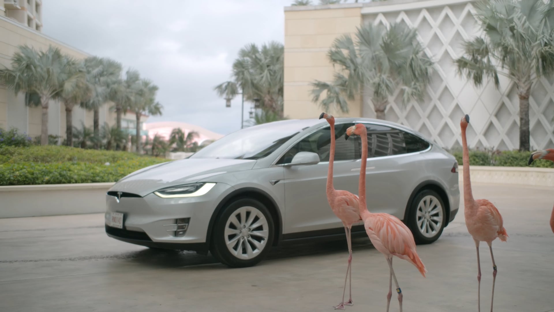 SLS BAHA MAR | WELCOME BACK