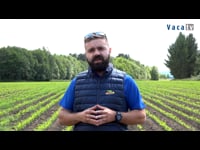 Ciclo corto en SAT As Pandas. José María Vivero (Dekalb)