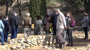 Tornen les visites presencials al Jaciment d'Empúries