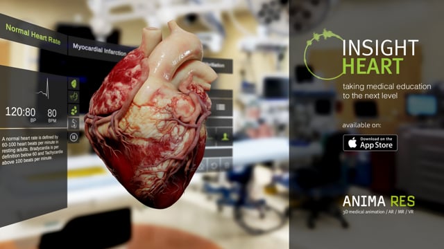INSIGHT HEART – The human heart expedition – ANIMA RES – 3D medical  animation / AR / MR / VR