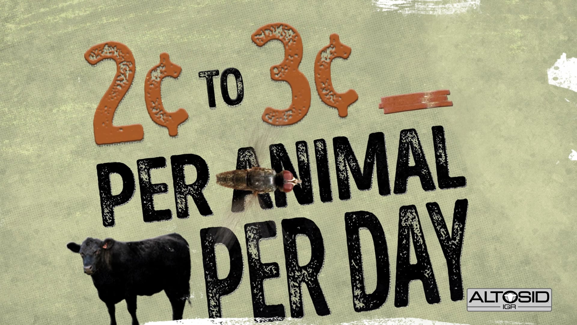 Altosid IGR - Stop the Swarm