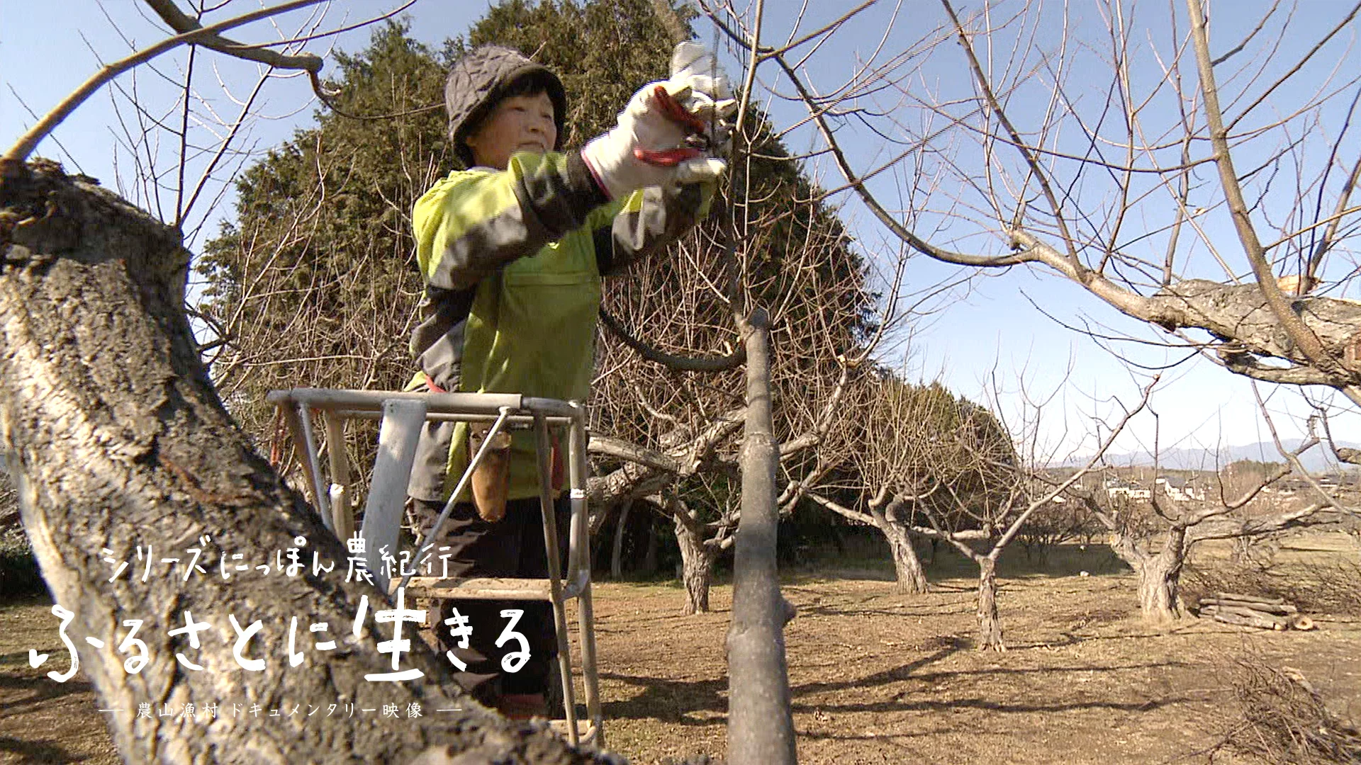 天然木　一枚板　ベンチ　栗の木　中津川産 無垢クリ（栗の木）貴重な耳付きベンチ・ナチュラル仕上げ | iichi
