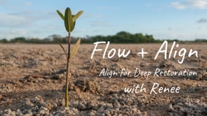 Flow + Align for Deep Restoration with Renee