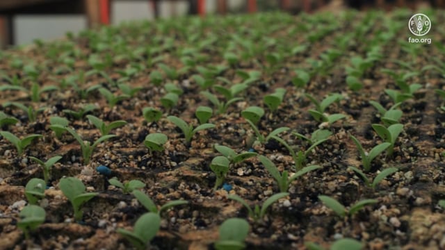 Héroes de la Alimentación: Agrícola Aníbal Donoso