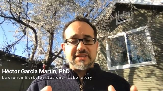 How machine learning impacts synthetic biology and how algorithms can bioengineer cells