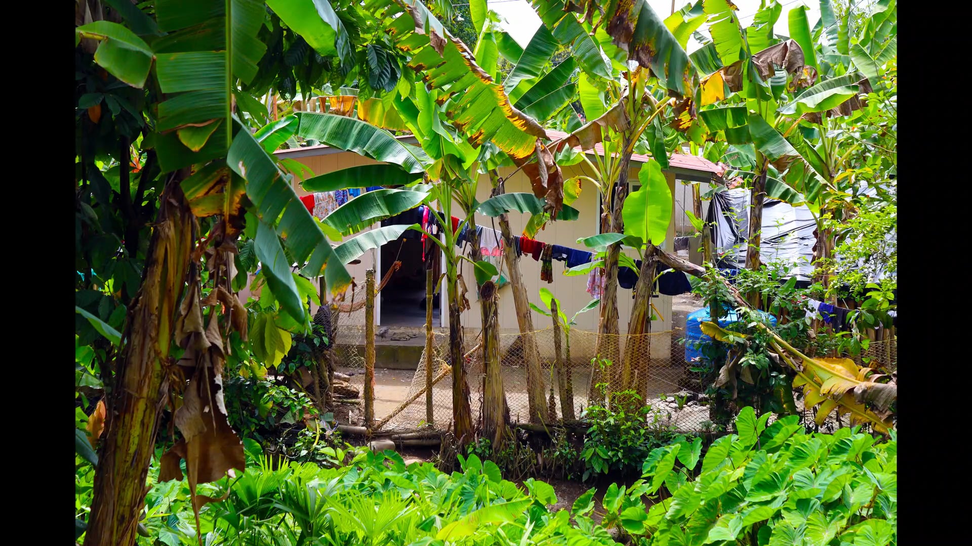 Comunidades Rurales by Carli ST