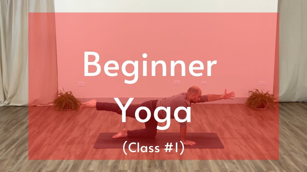 Beginner Yoga Class 1 on Vimeo