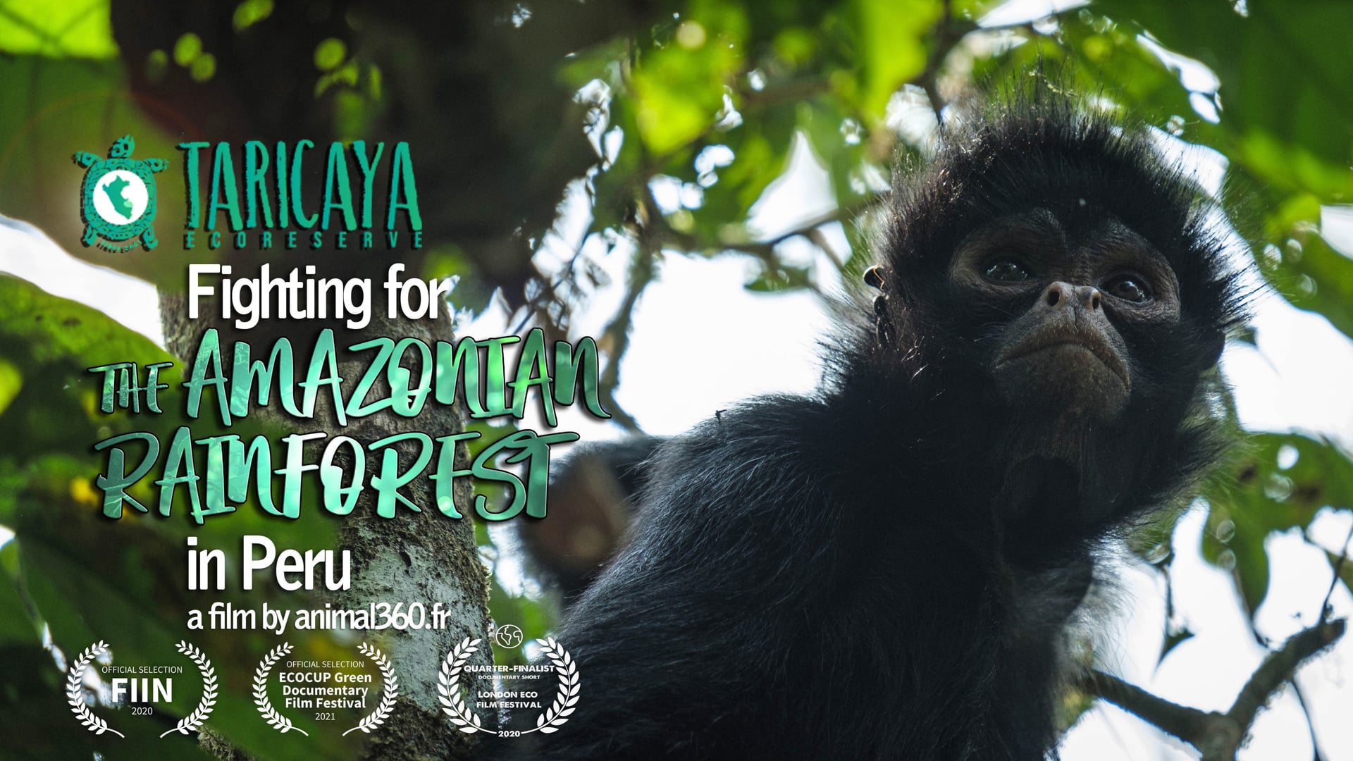 Taricaya ecoreserve, fighting for the amazonian rainforest in Peru