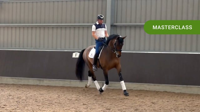 Developing the trot with Gareth Hughes