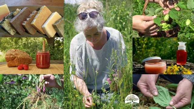 Online Cursus Natuurlijk Leven 2021