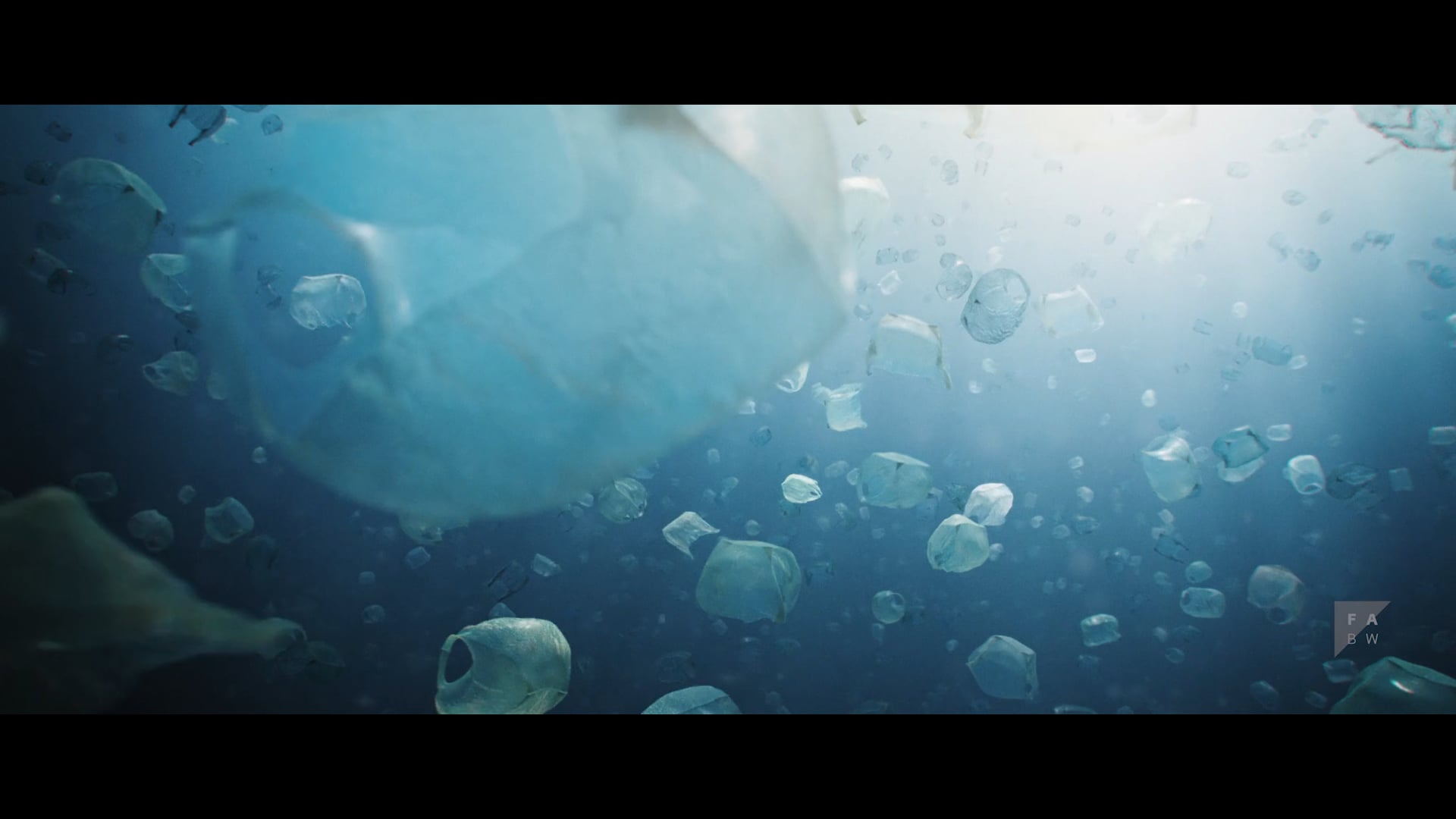 The Beauty - Award Winning Shortfilm