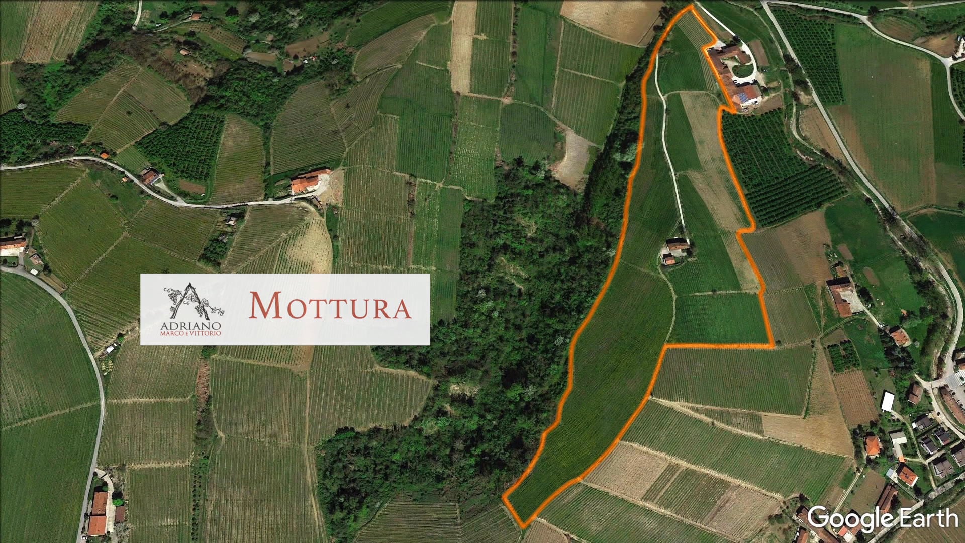 Vigneto Mottura