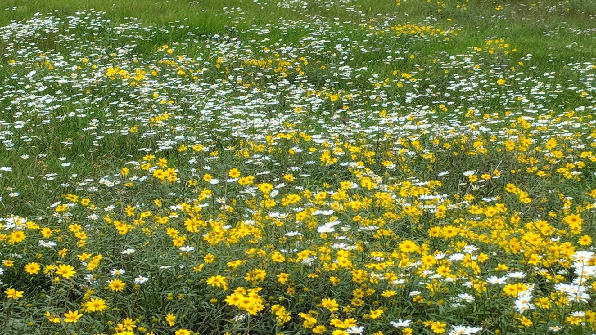 2021 March 09: Emphasizing the Importance of Tranquility